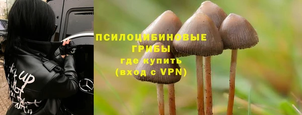 стафф Армянск