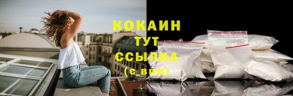 стаф Арсеньев
