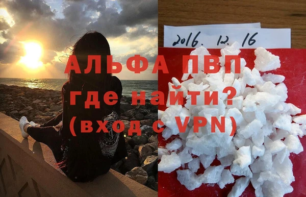 стаф Арсеньев