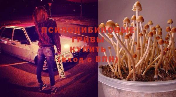 стафф Армянск
