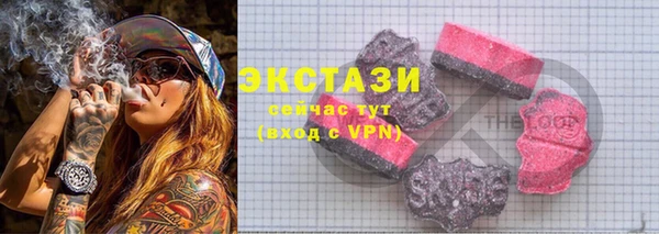 стаф Арсеньев